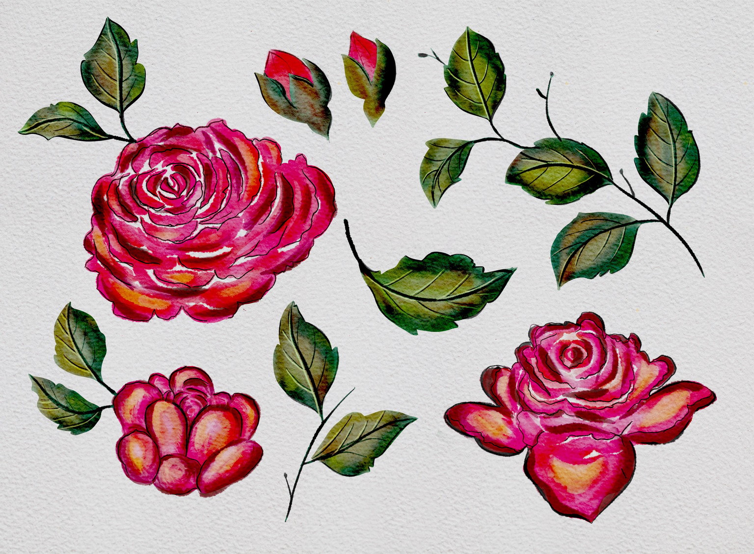 Watercolor Roses on Procreate with Silvi - image 3 - student project