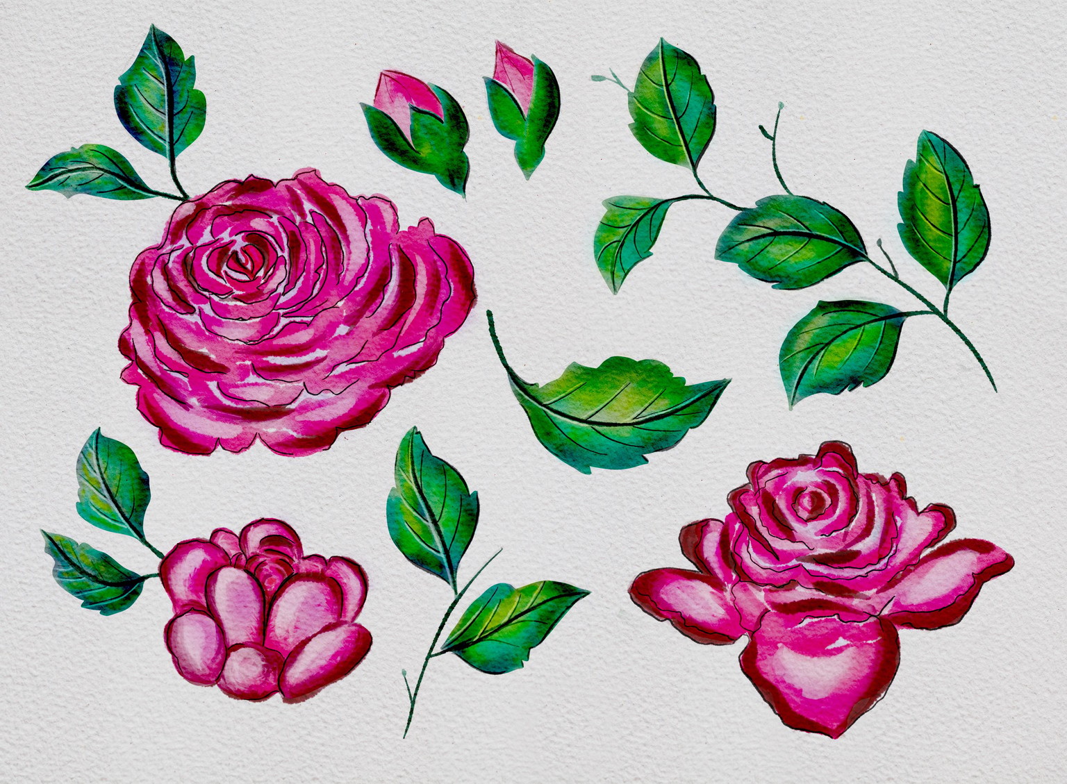 Watercolor Roses on Procreate with Silvi - image 2 - student project