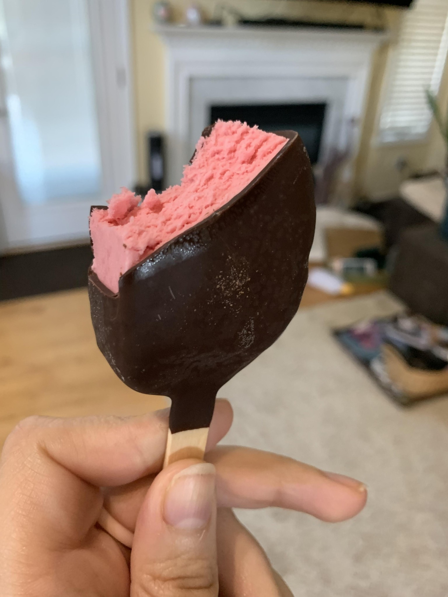 Raspberry Chocolate Ice Cream Bar - image 1 - student project