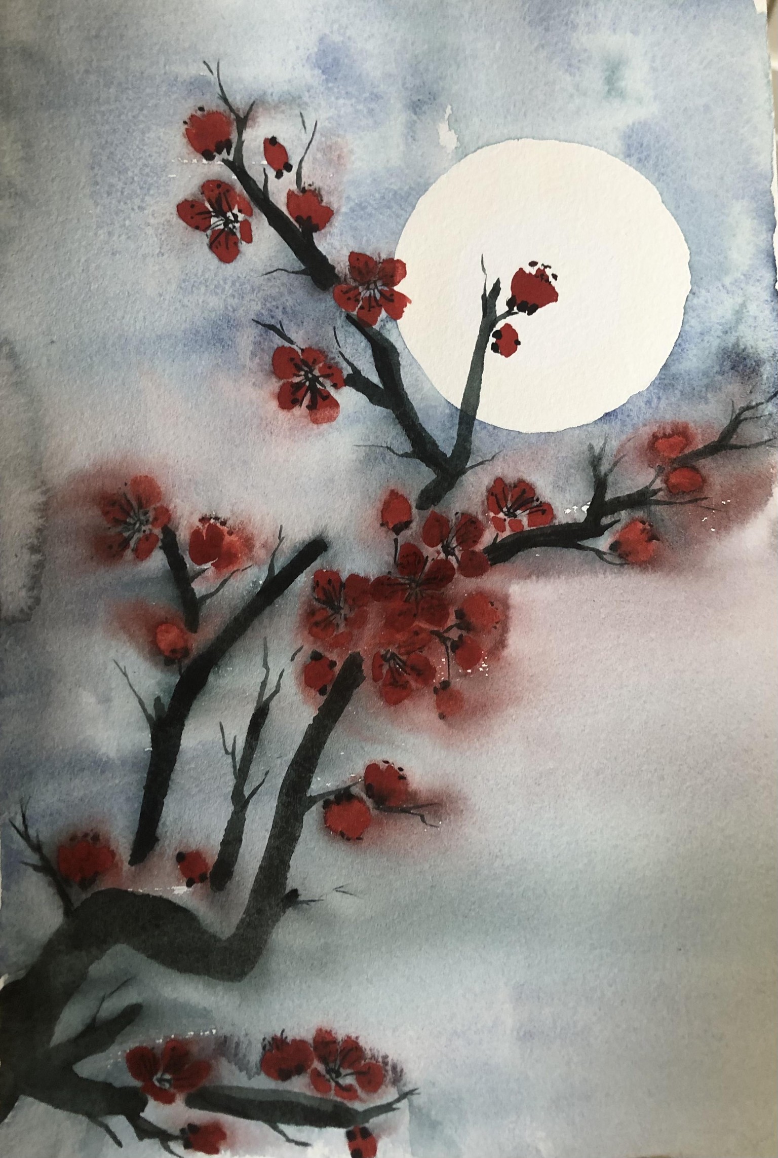 Watercolors to paint Chinese plum - image 2 - student project