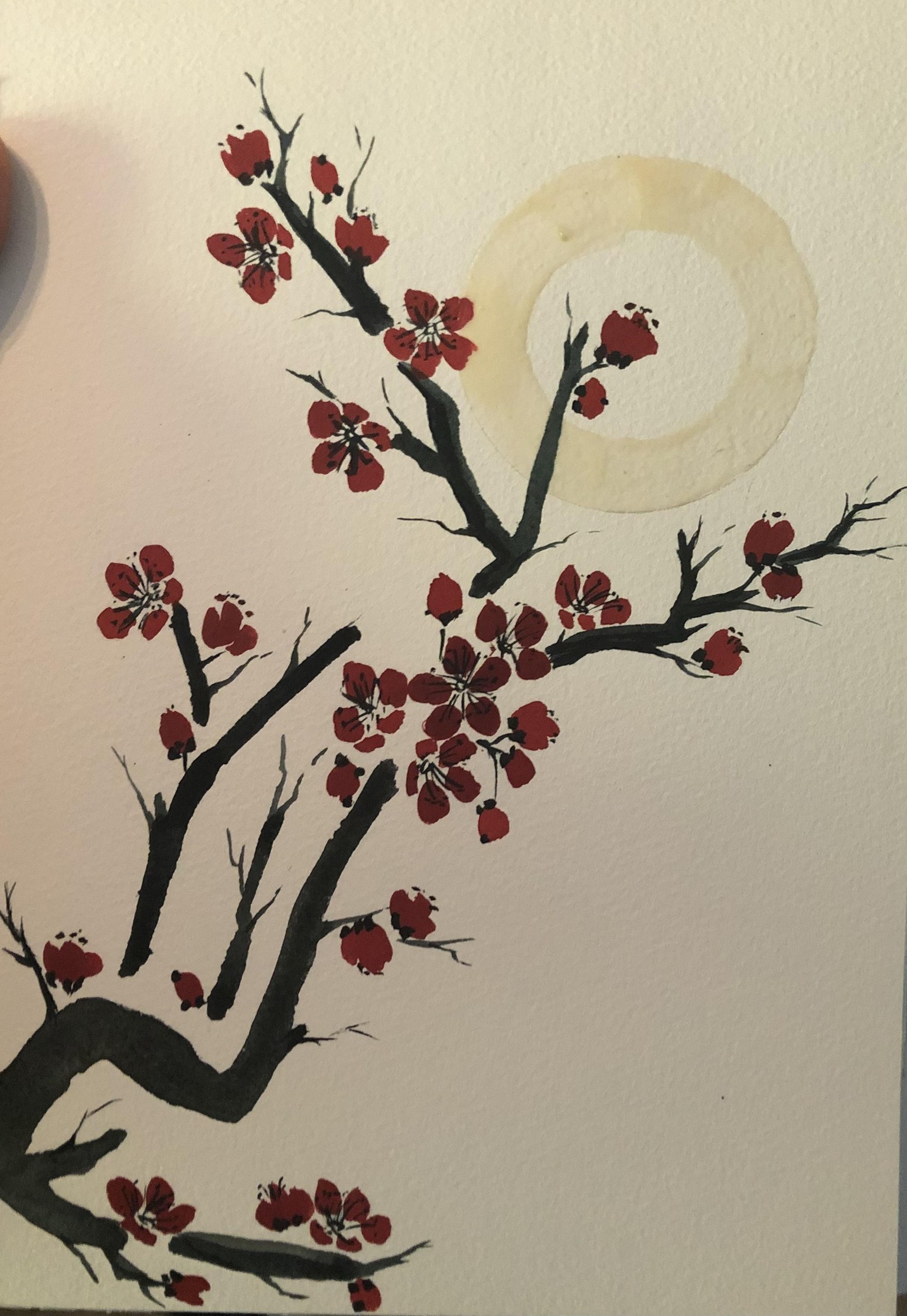 Watercolors to paint Chinese plum - image 1 - student project