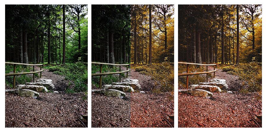 Color change! - image 3 - student project