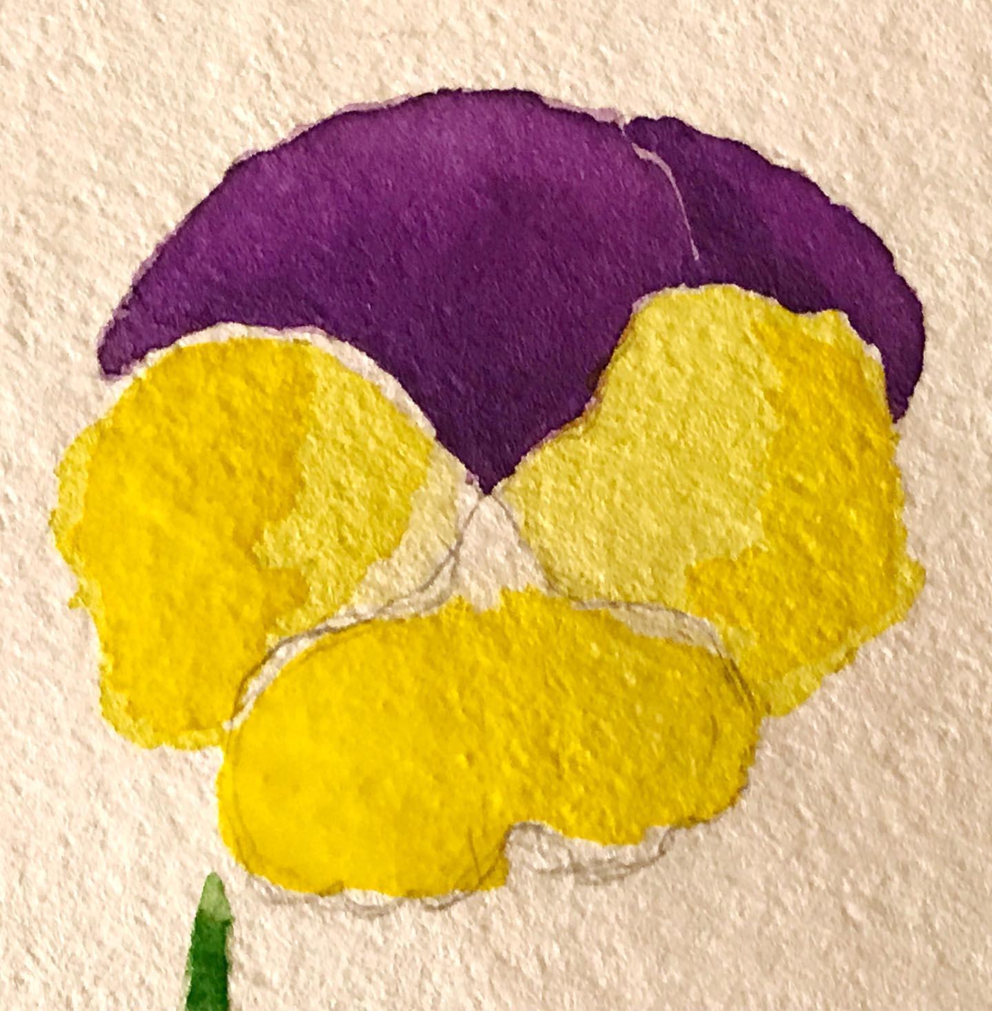 Viola - image 3 - student project