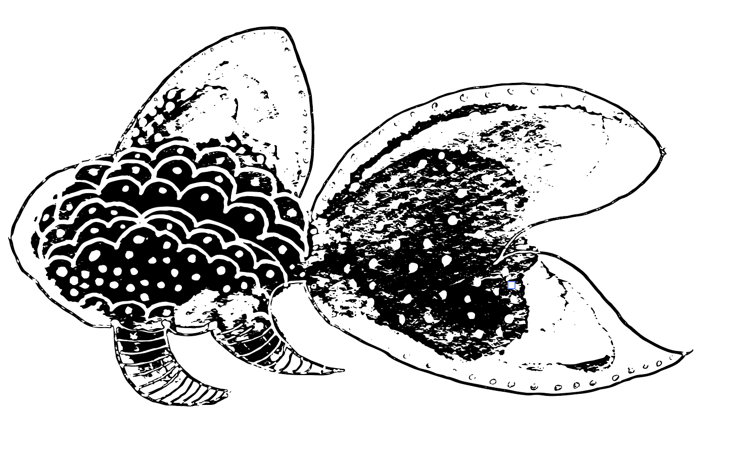 DIGITAL FISH - image 3 - student project