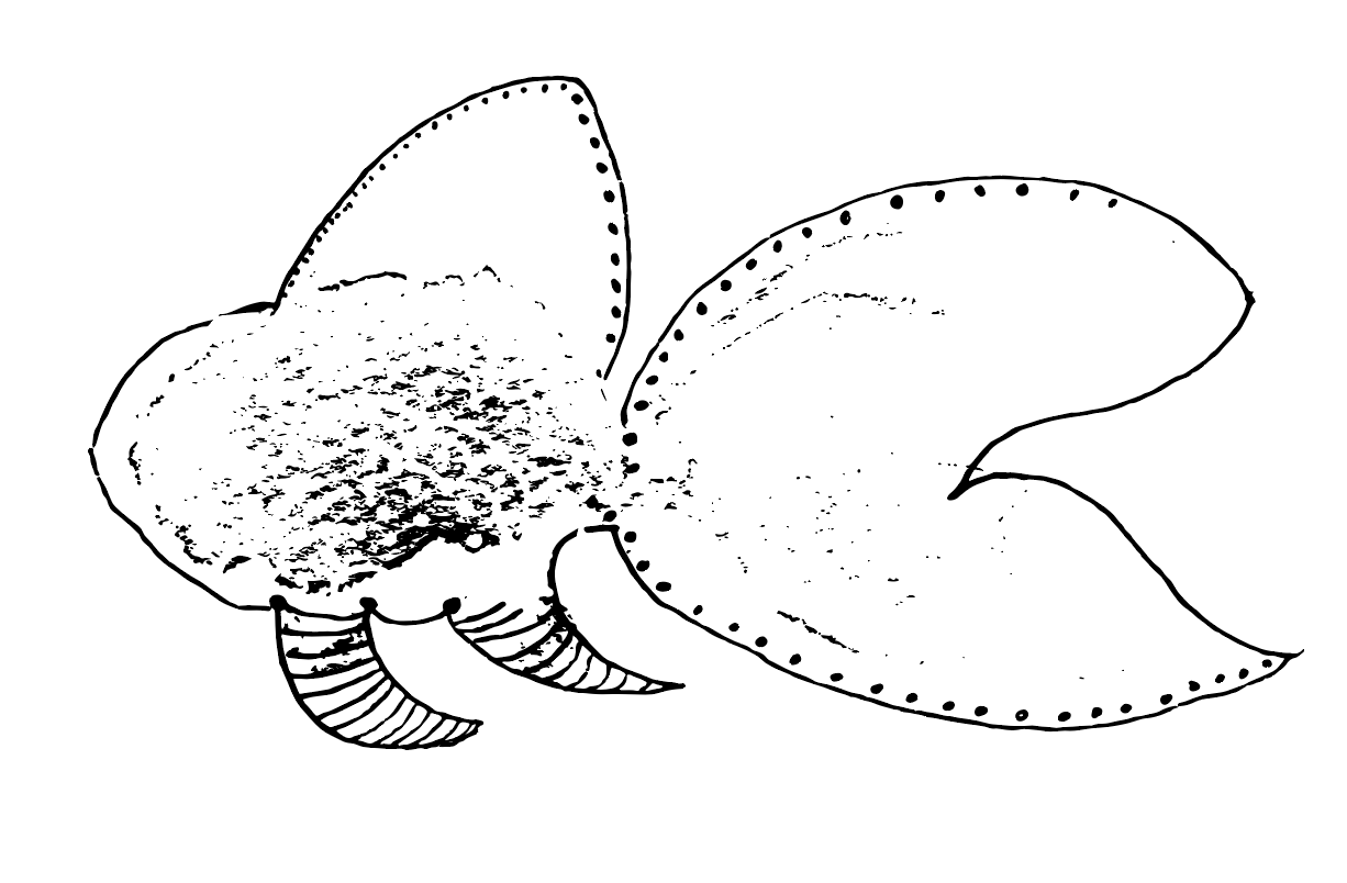 DIGITAL FISH - image 5 - student project