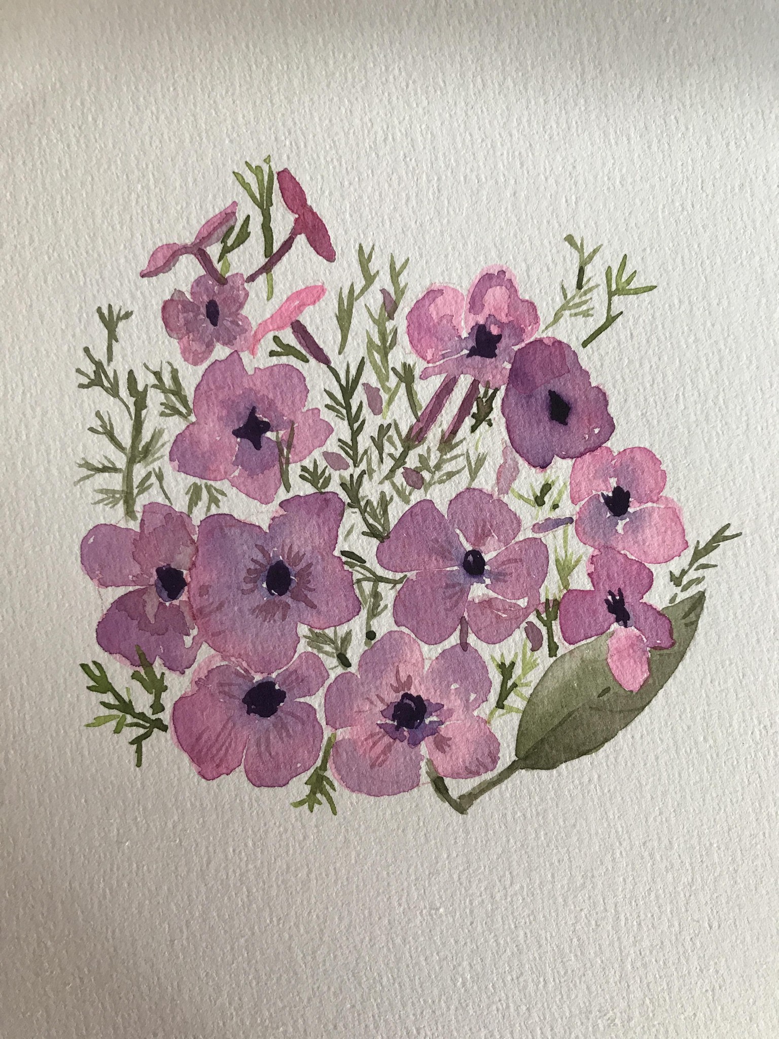 orchids and salvia - image 4 - student project