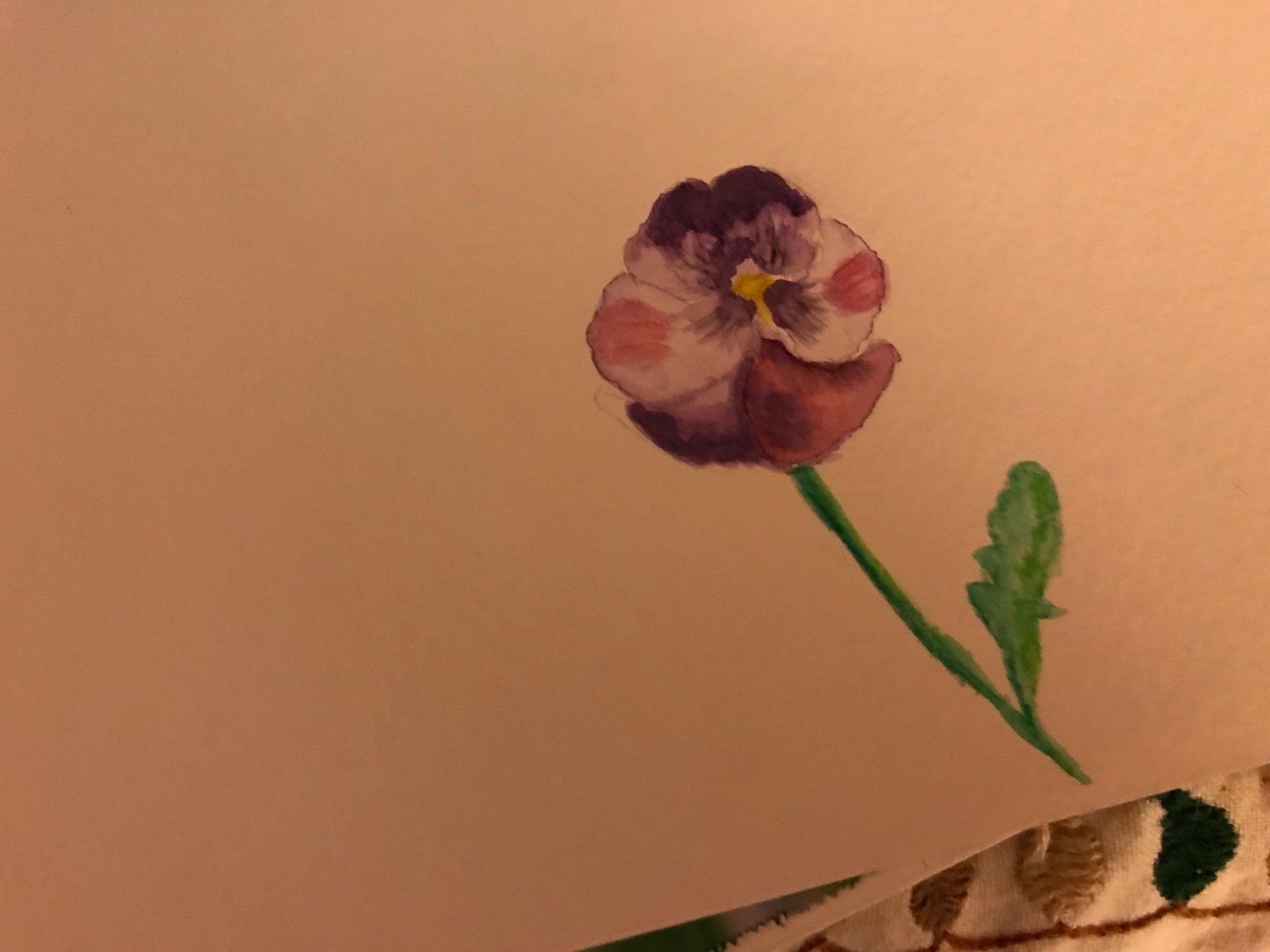 Viola - image 1 - student project