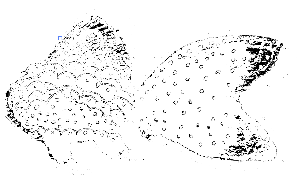 DIGITAL FISH - image 4 - student project