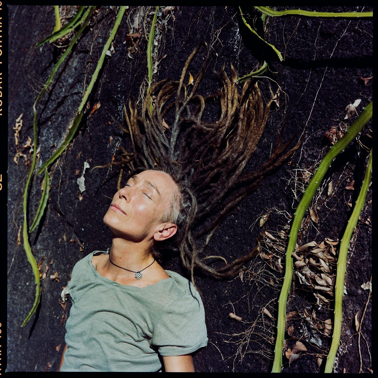 My favorite shots from the portrait sessions - image 2 - student project