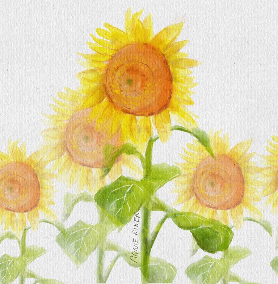 Watercolor Florals - image 2 - student project