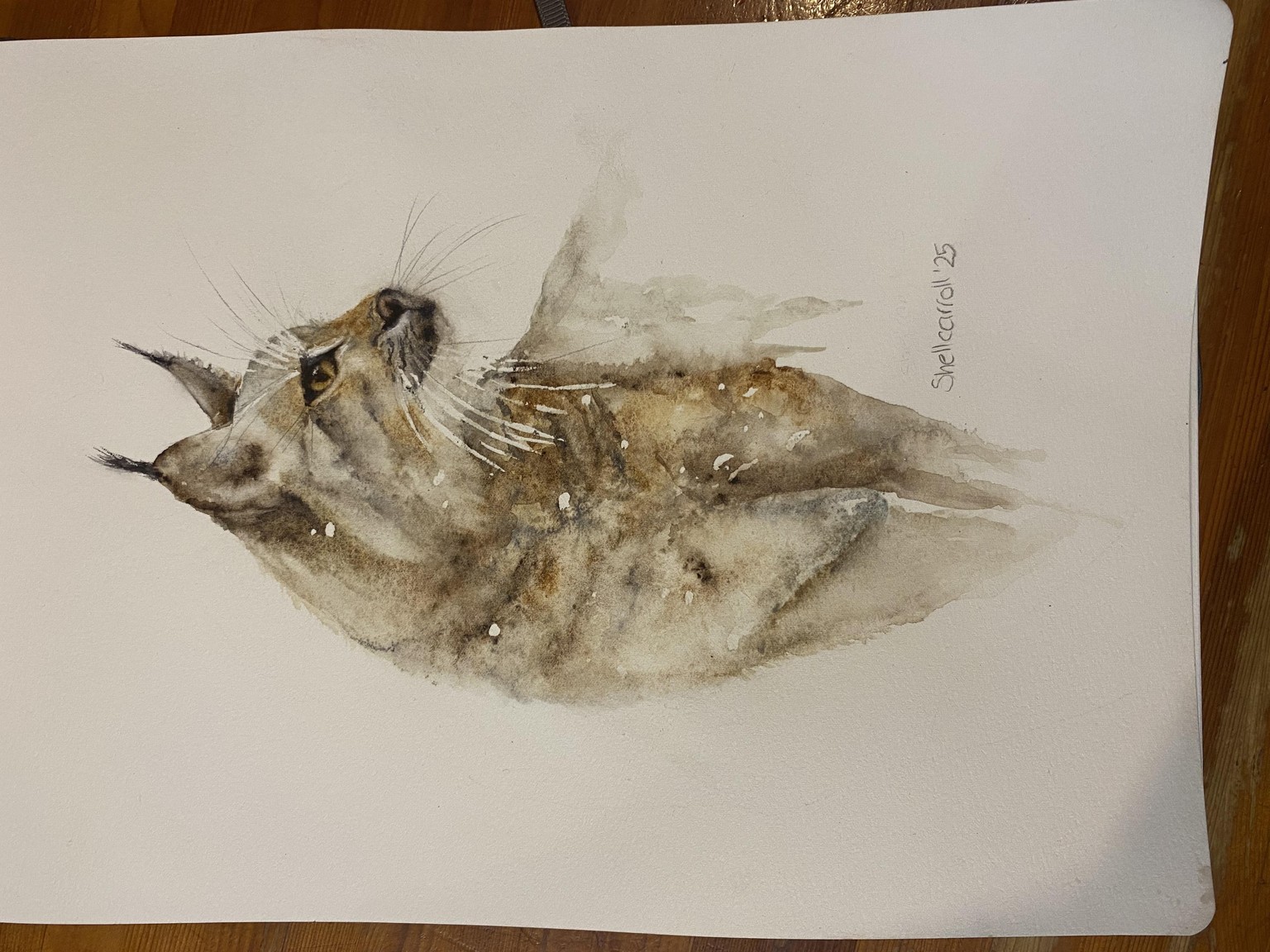 My Lynx - image 1 - student project