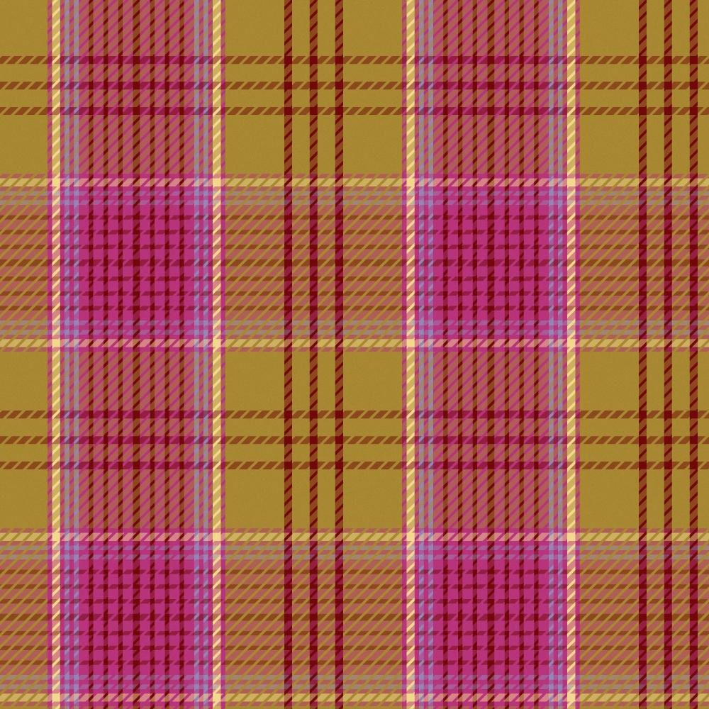 Go Go Mad Plaid - image 6 - student project