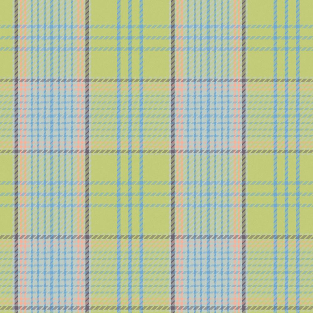 Go Go Mad Plaid - image 5 - student project