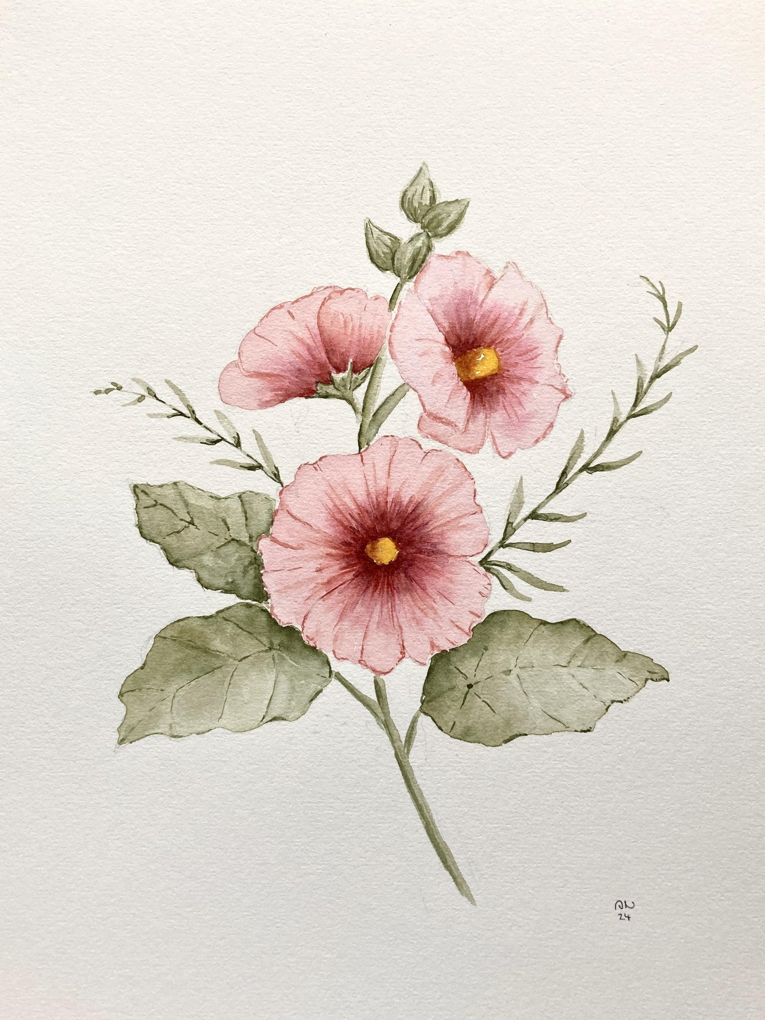 Hollyhock Flower - image 1 - student project