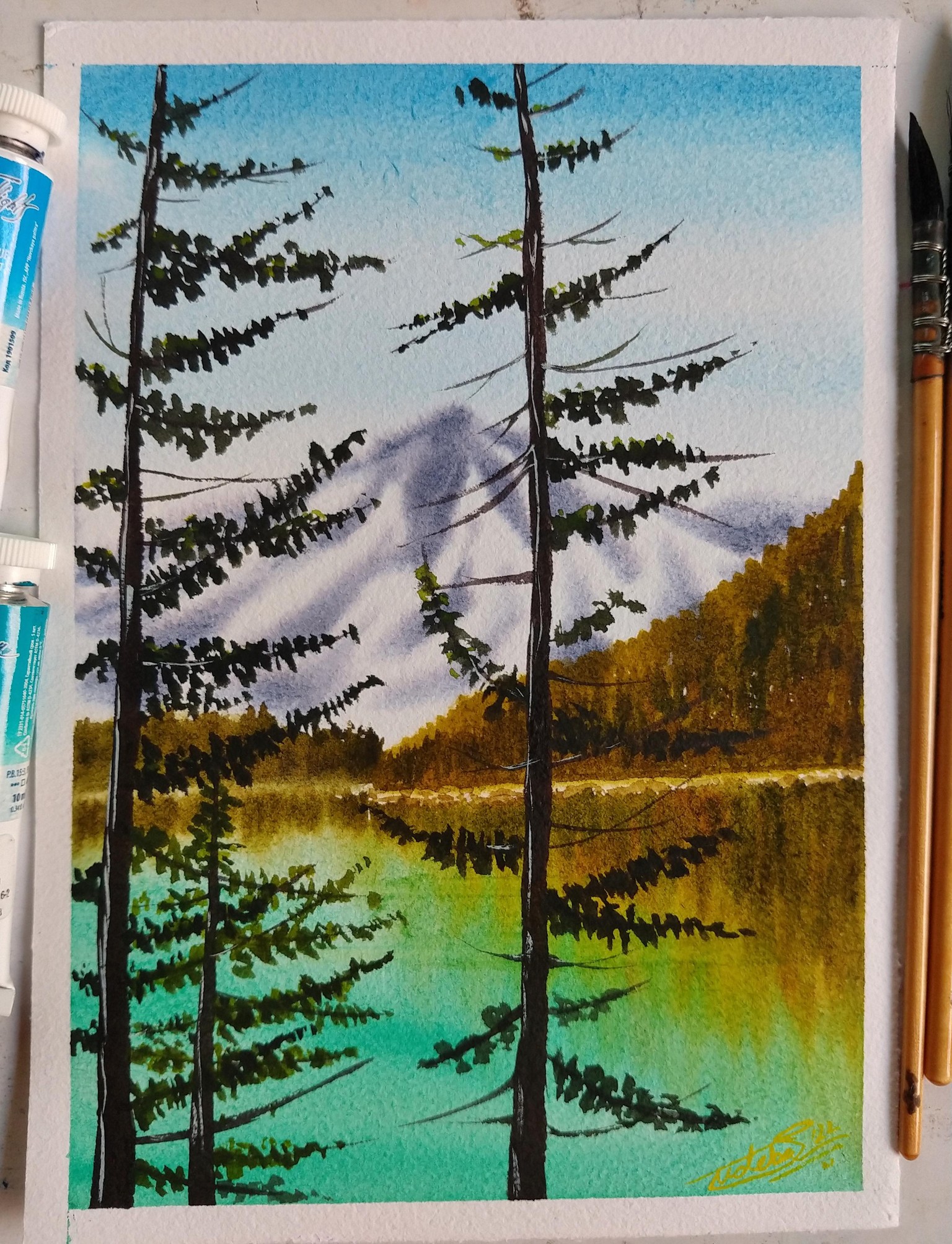 100 Days of Paradise - image 35 - student project