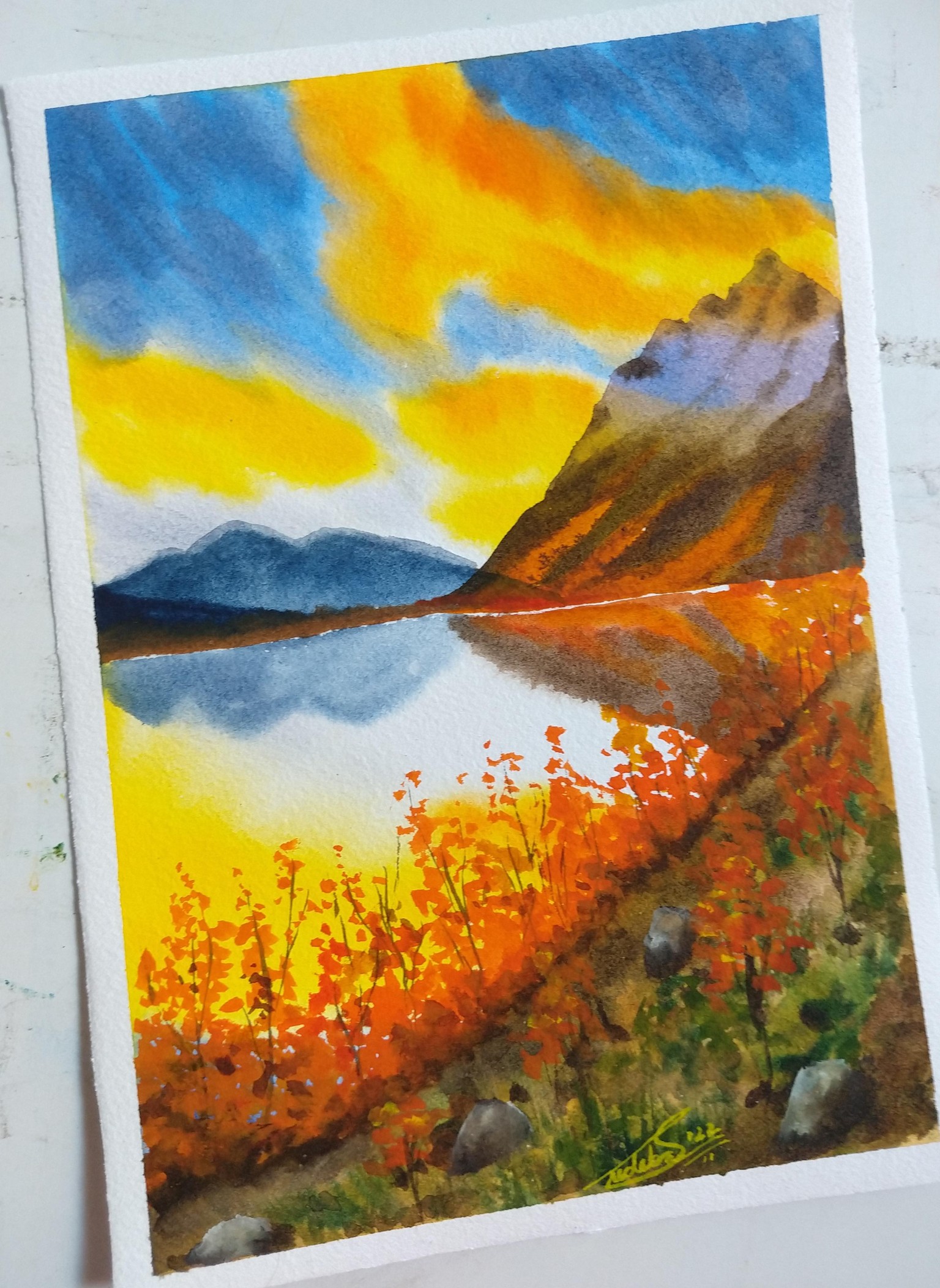 100 Days of Paradise - image 50 - student project
