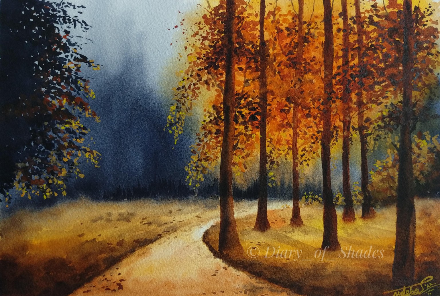Misty Autumn Forest Landscape - image 1 - student project