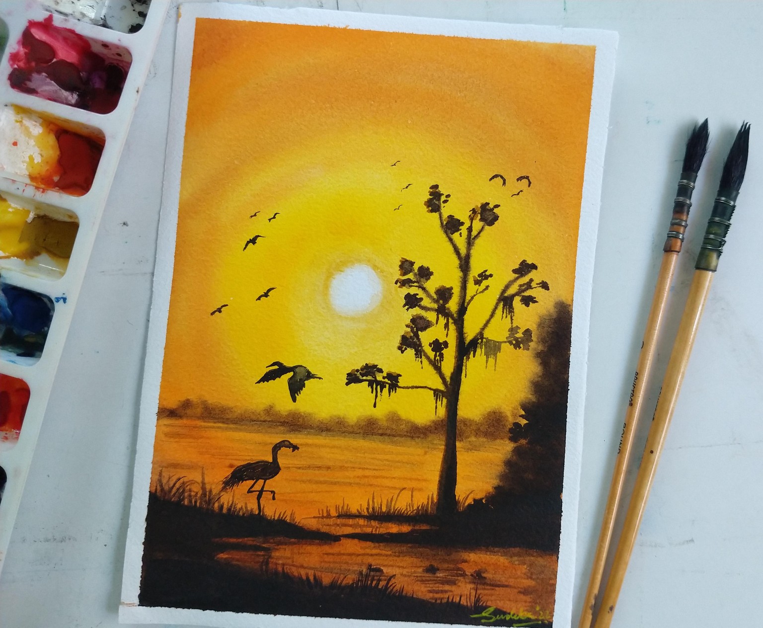 100 Days of Paradise - image 12 - student project