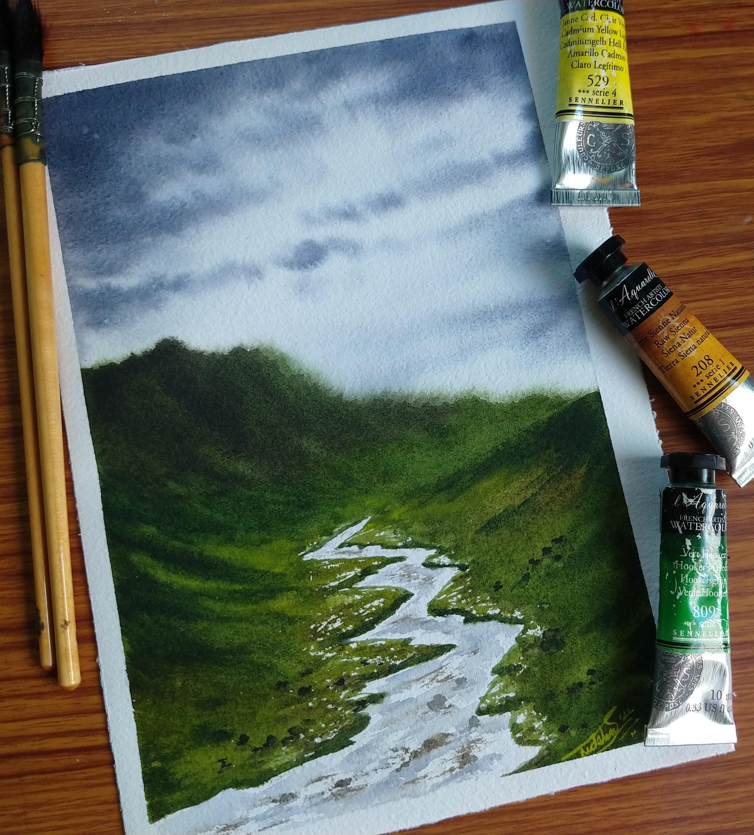 100 Days of Paradise - image 33 - student project