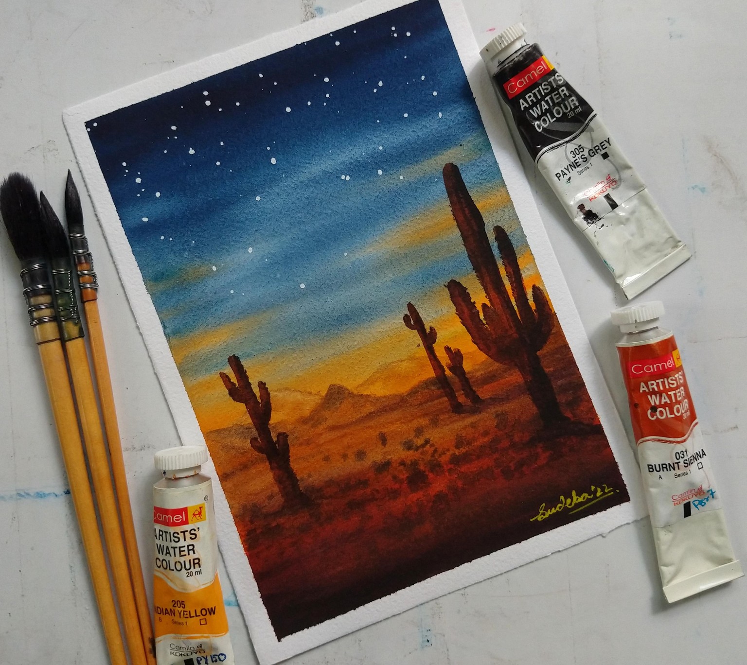 100 Days of Paradise - image 5 - student project