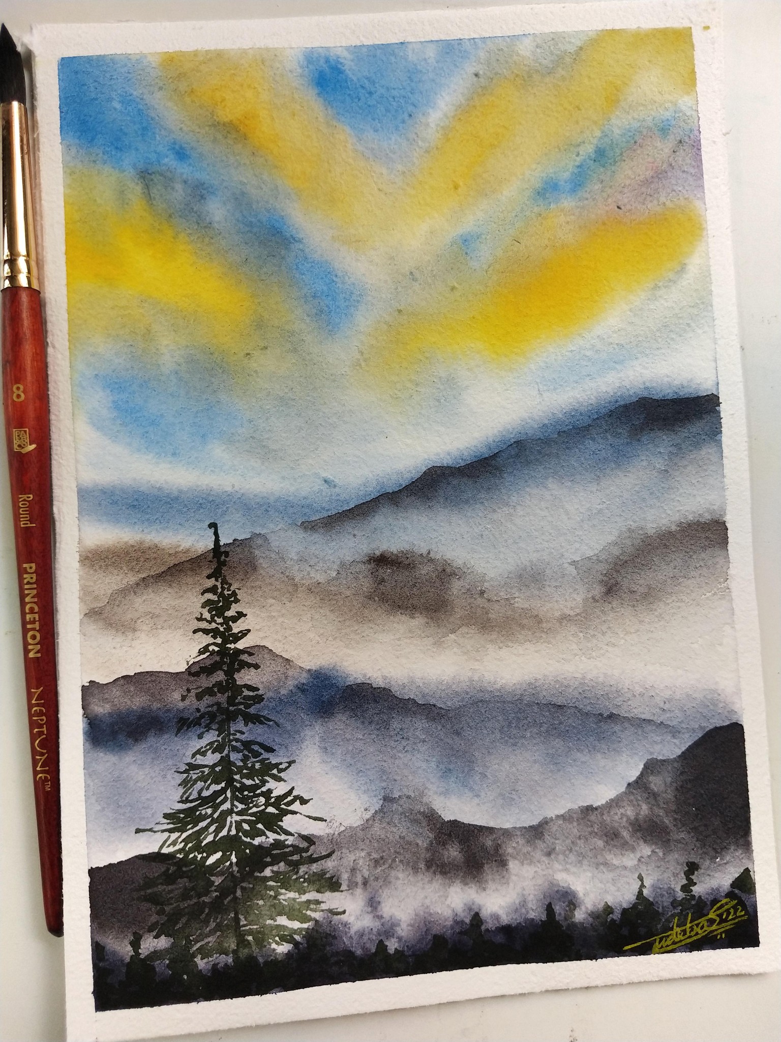 100 Days of Paradise - image 104 - student project