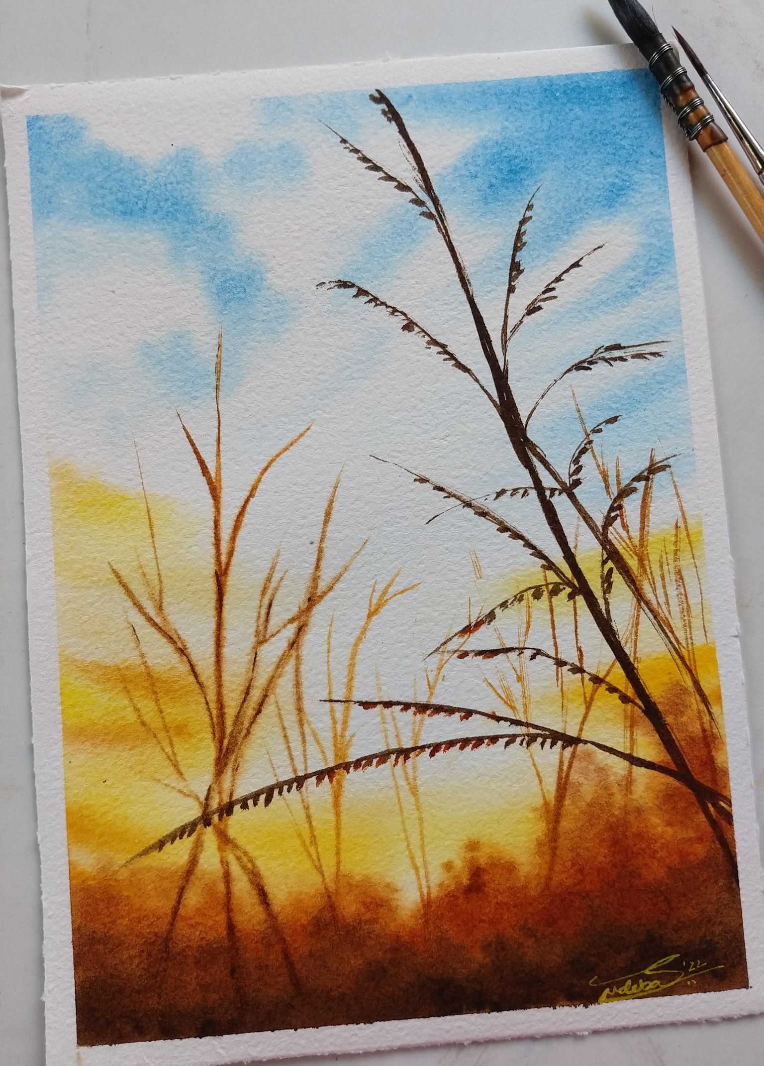100 Days of Paradise - image 25 - student project