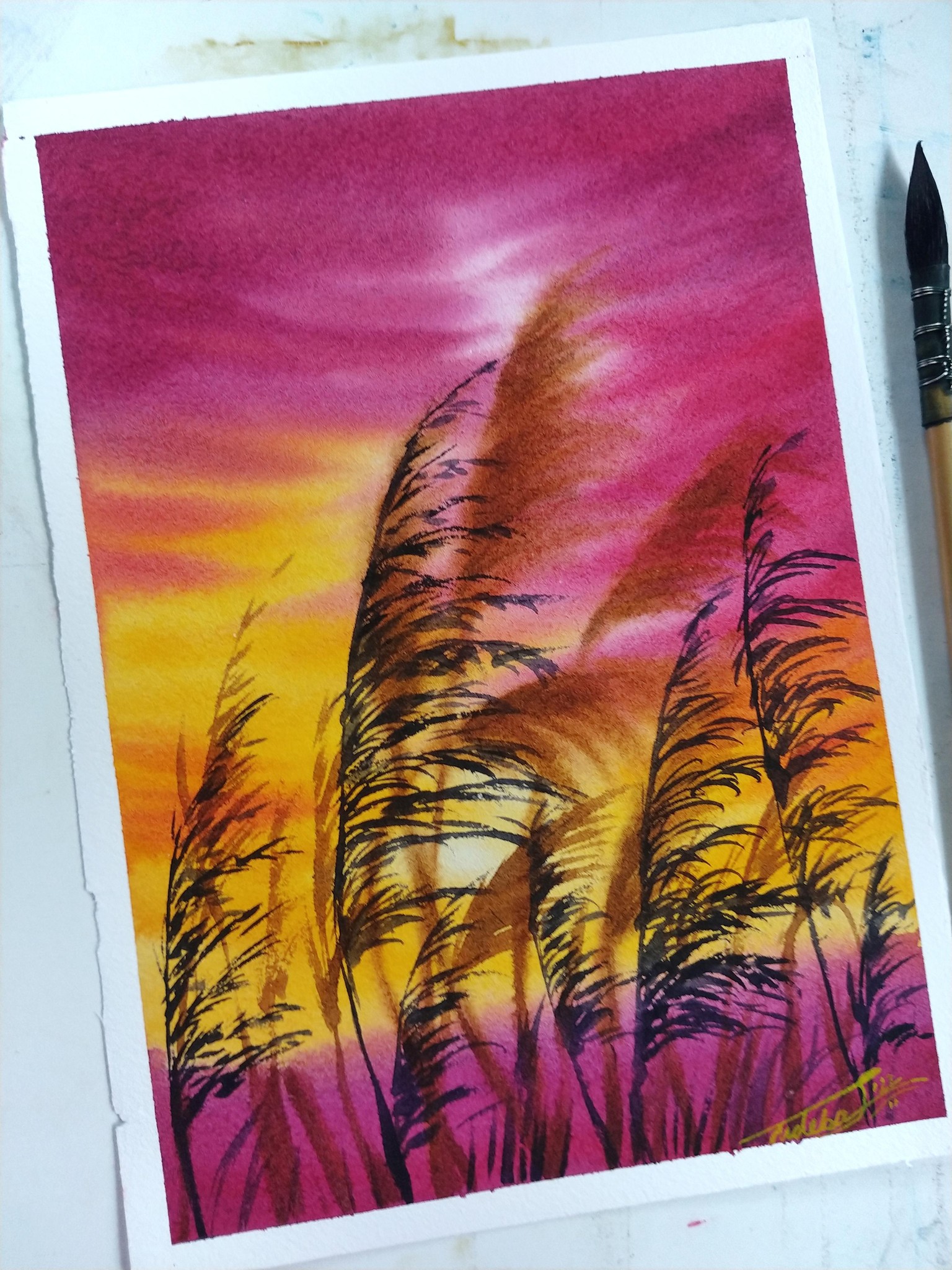 100 Days of Paradise - image 58 - student project