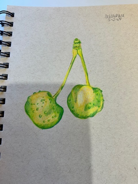 Cherries - warm & cool - image 1 - student project