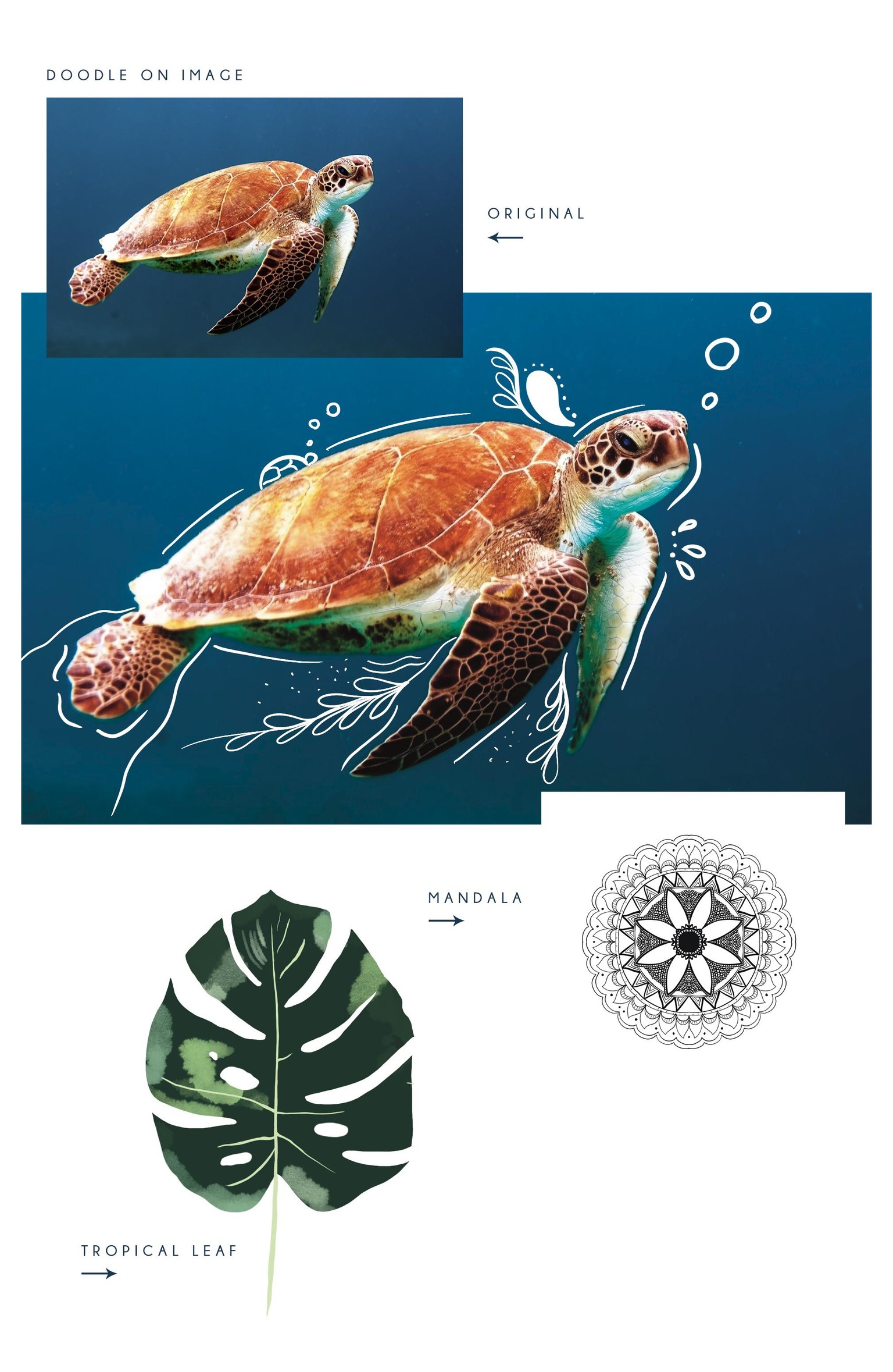 Procreate Projects - image 1 - student project