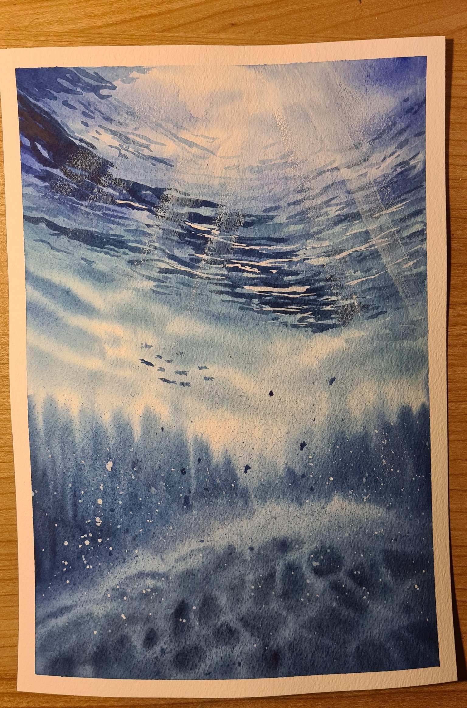 Underwater view - image 1 - student project