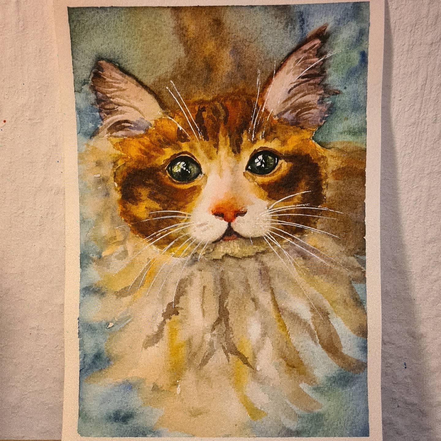 cat portrait - image 1 - student project