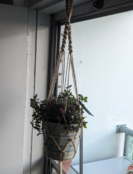 My first macrame - image 2 - student project