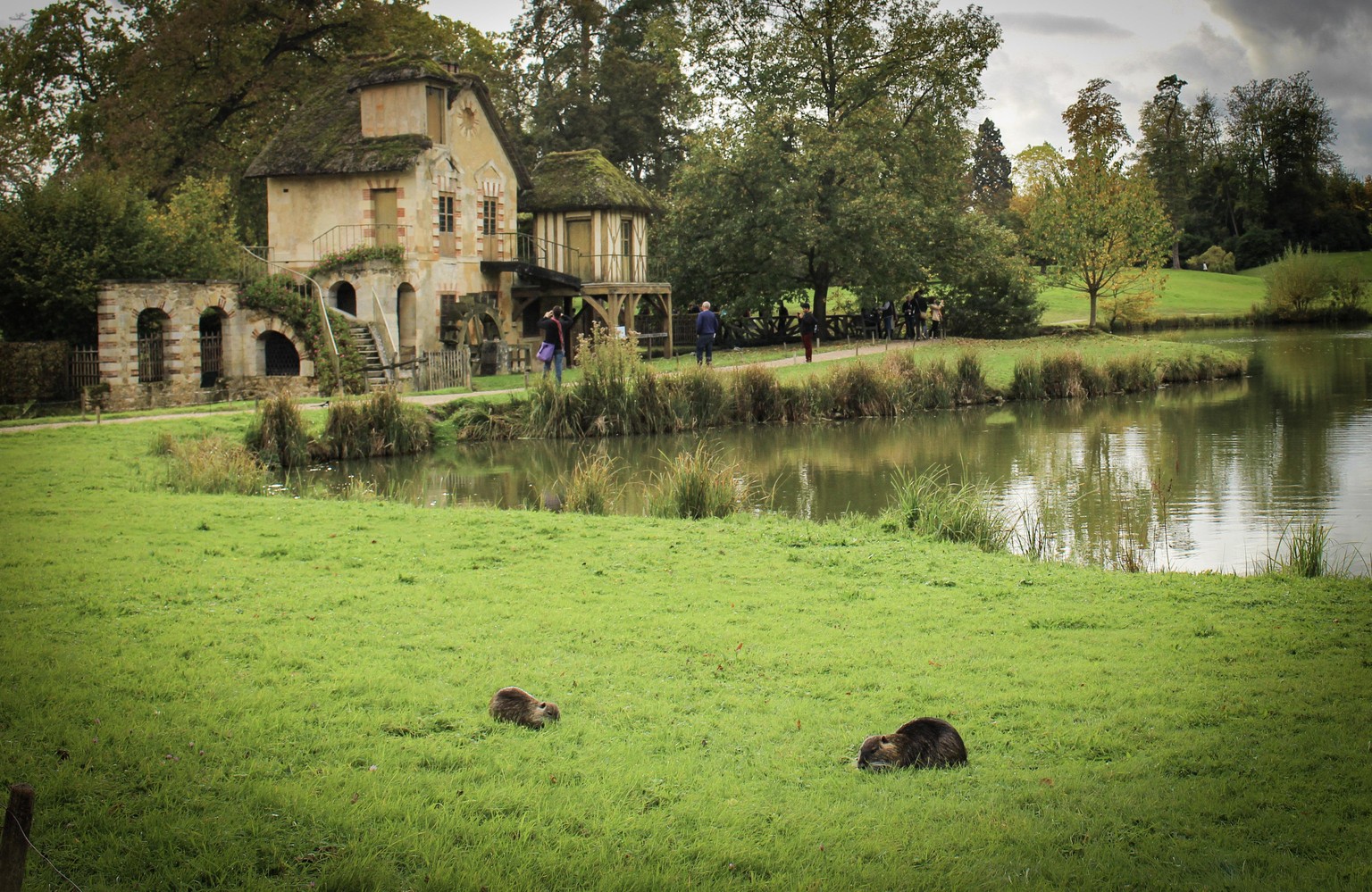 France - image 4 - student project