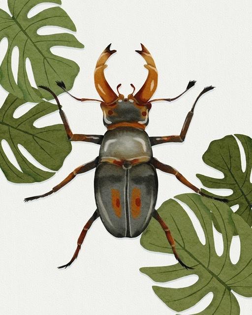 Bug life - image 1 - student project