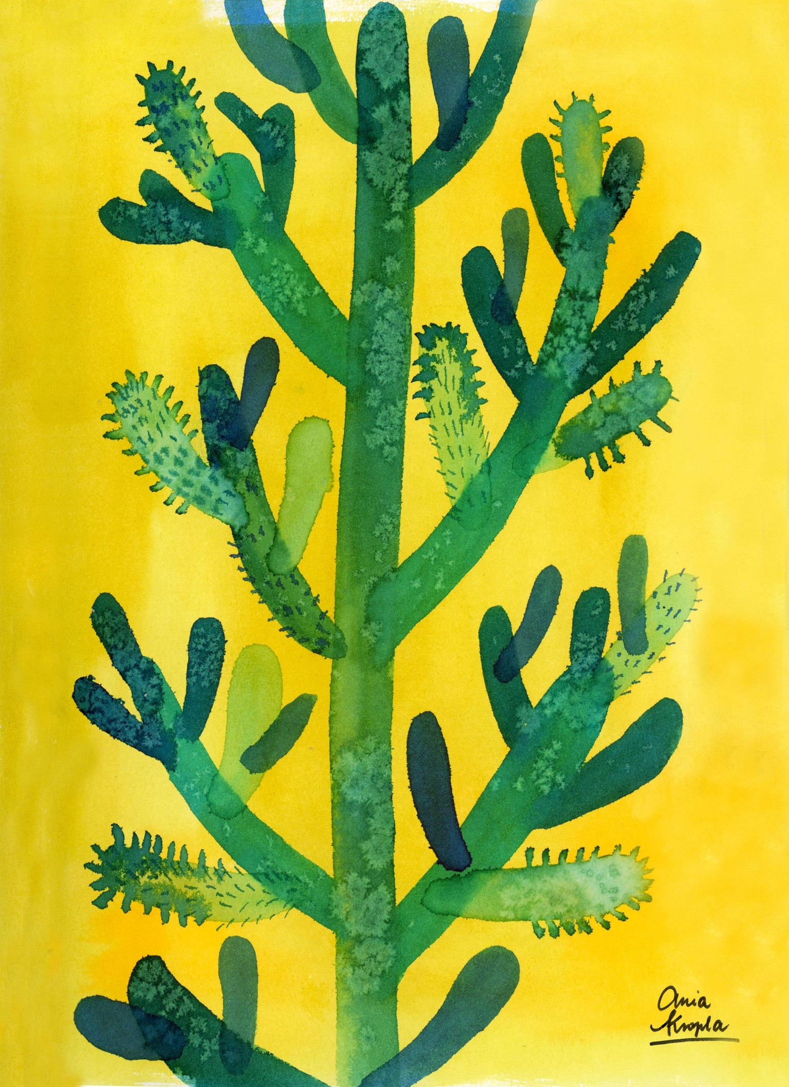 Anna's Pebbles and Cactuses - image 7 - student project