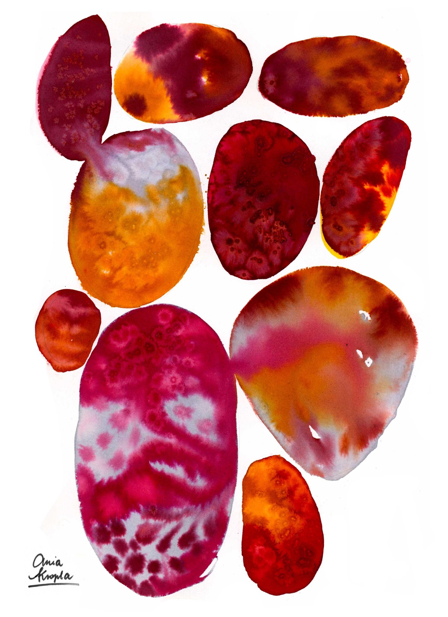 Anna's Pebbles and Cactuses - image 3 - student project