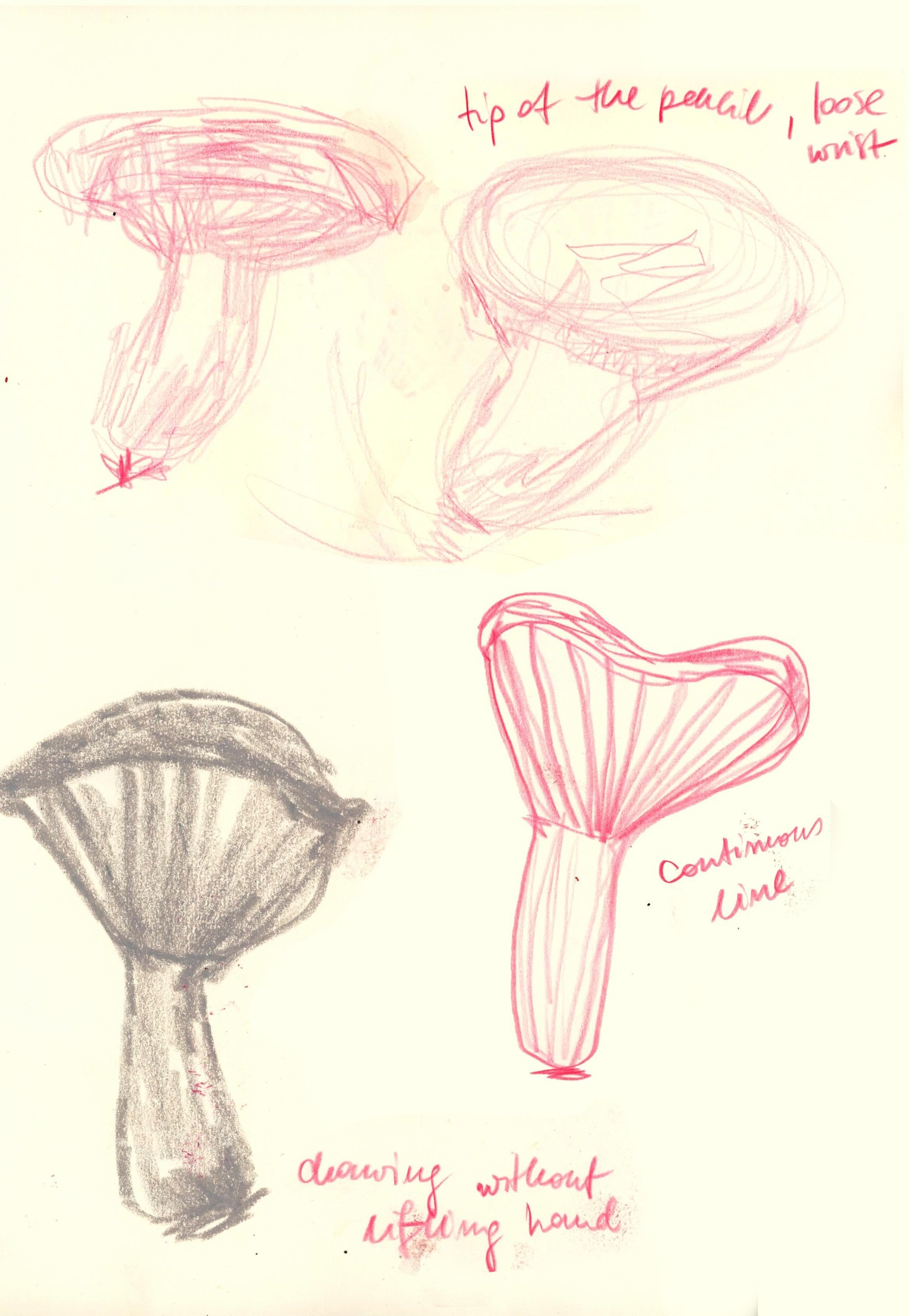 My artistic natural exploration - image 2 - student project