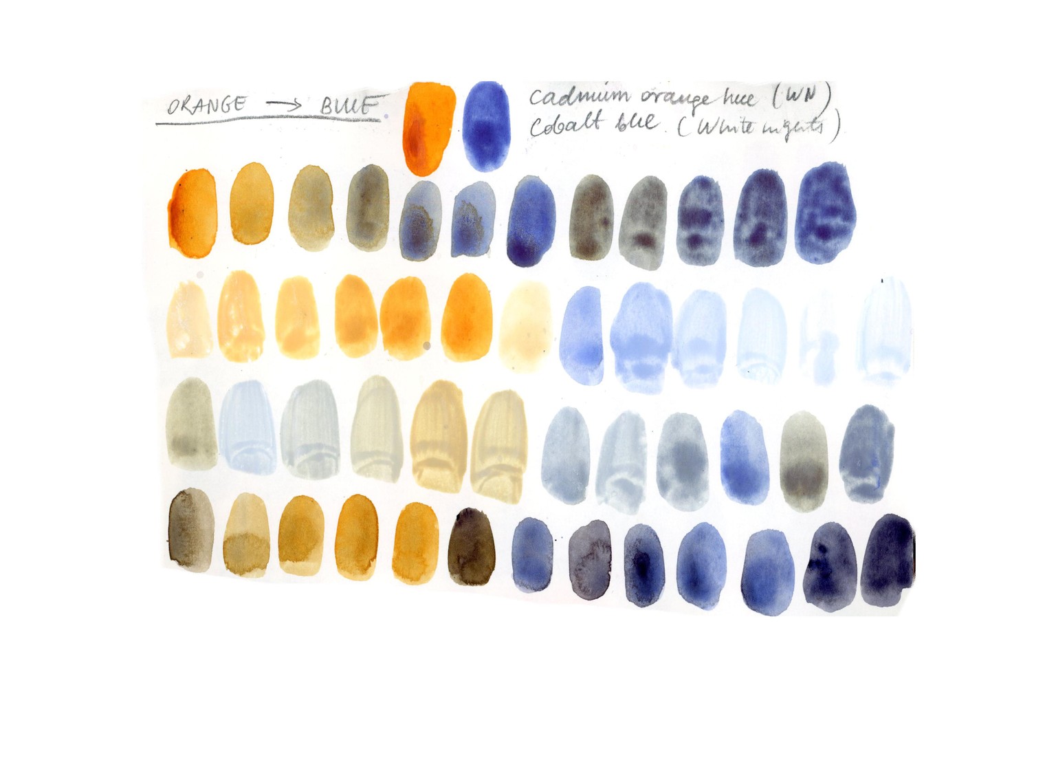 My complementary colors birdie - image 1 - student project