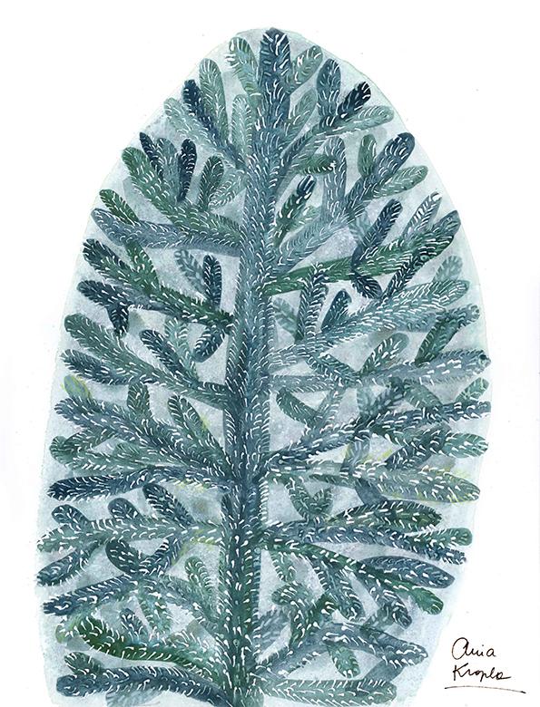 My trees - image 7 - student project