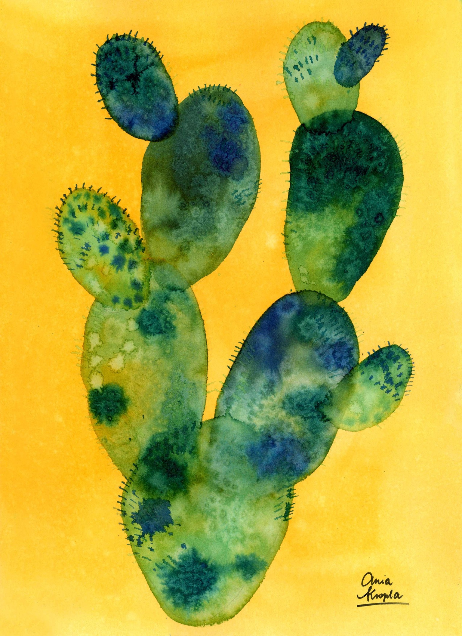Anna's Pebbles and Cactuses - image 5 - student project