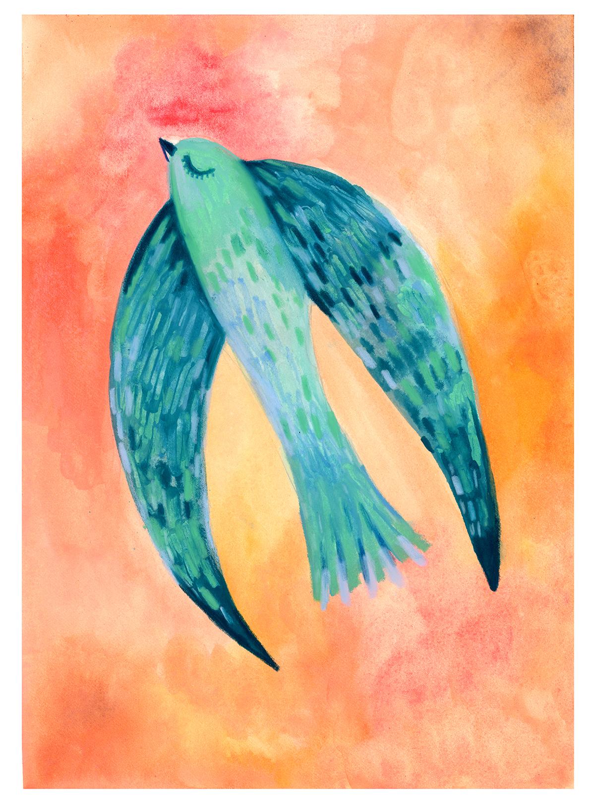 My complementary colors birdie - image 9 - student project