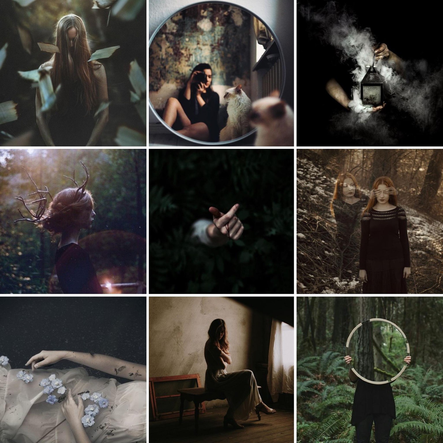Ethereal & moody, Dark & campy - image 1 - student project