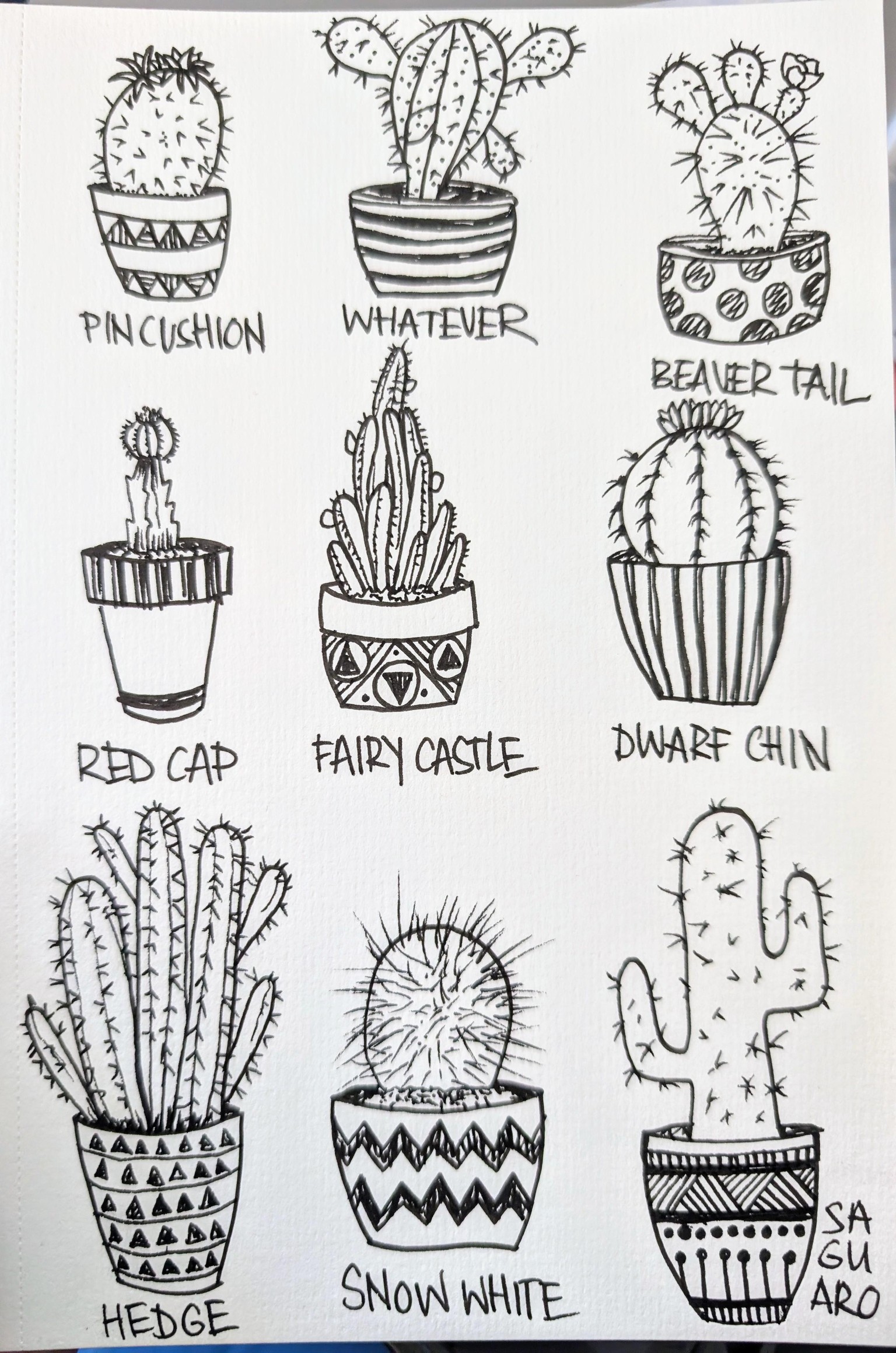 My succulents - image 2 - student project