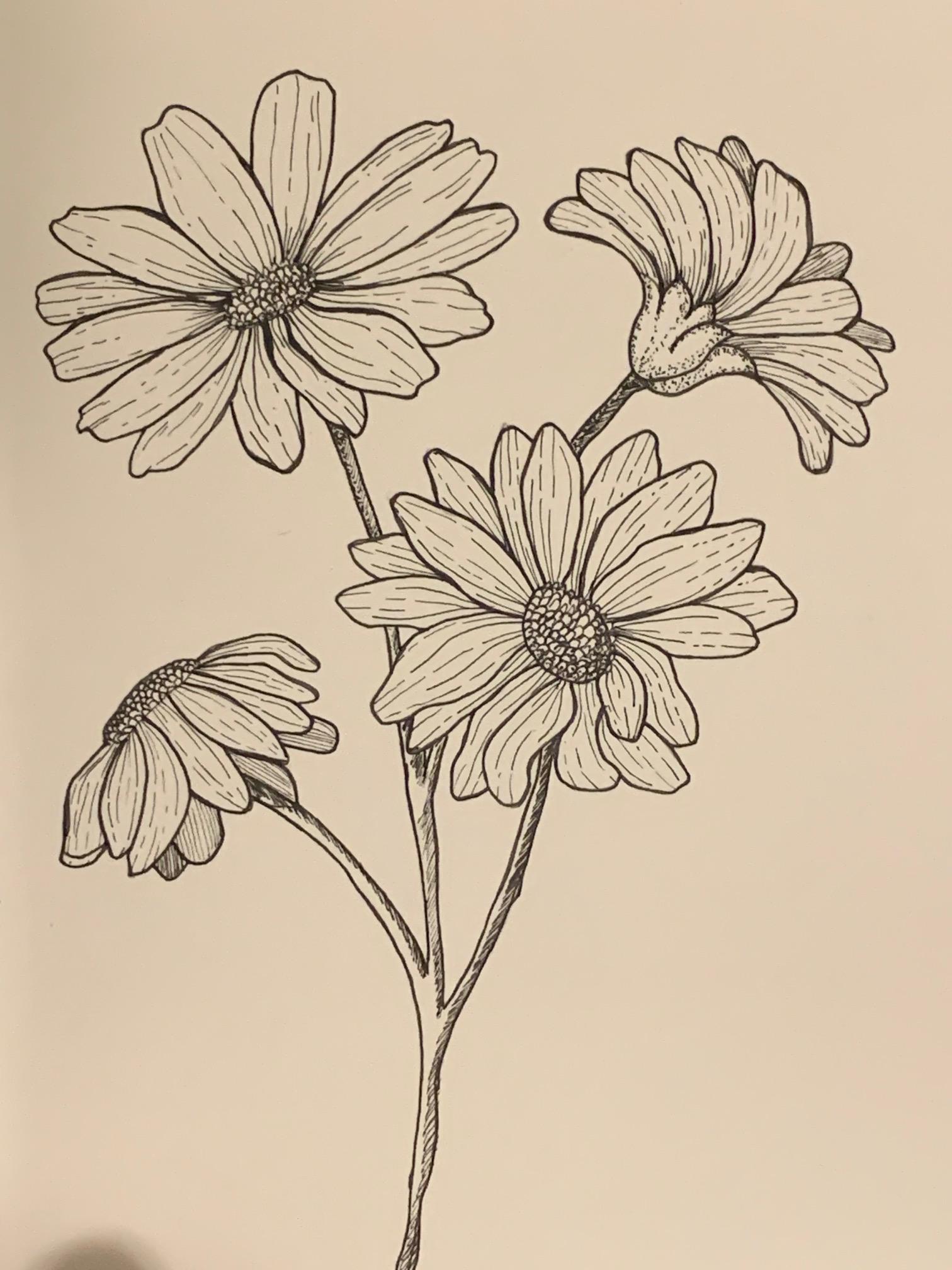 Flower drawing - image 2 - student project