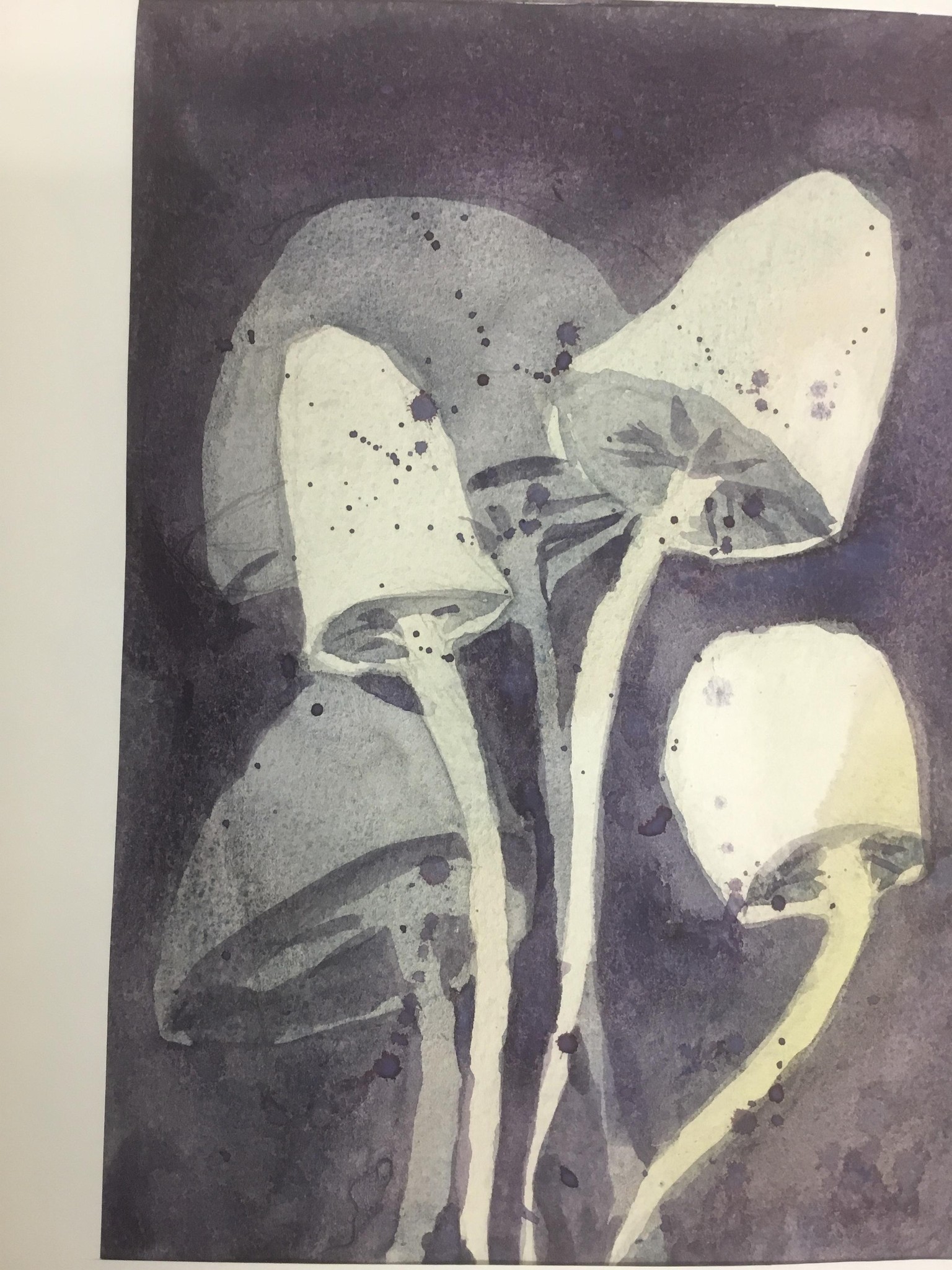 First watercolor class - image 5 - student project