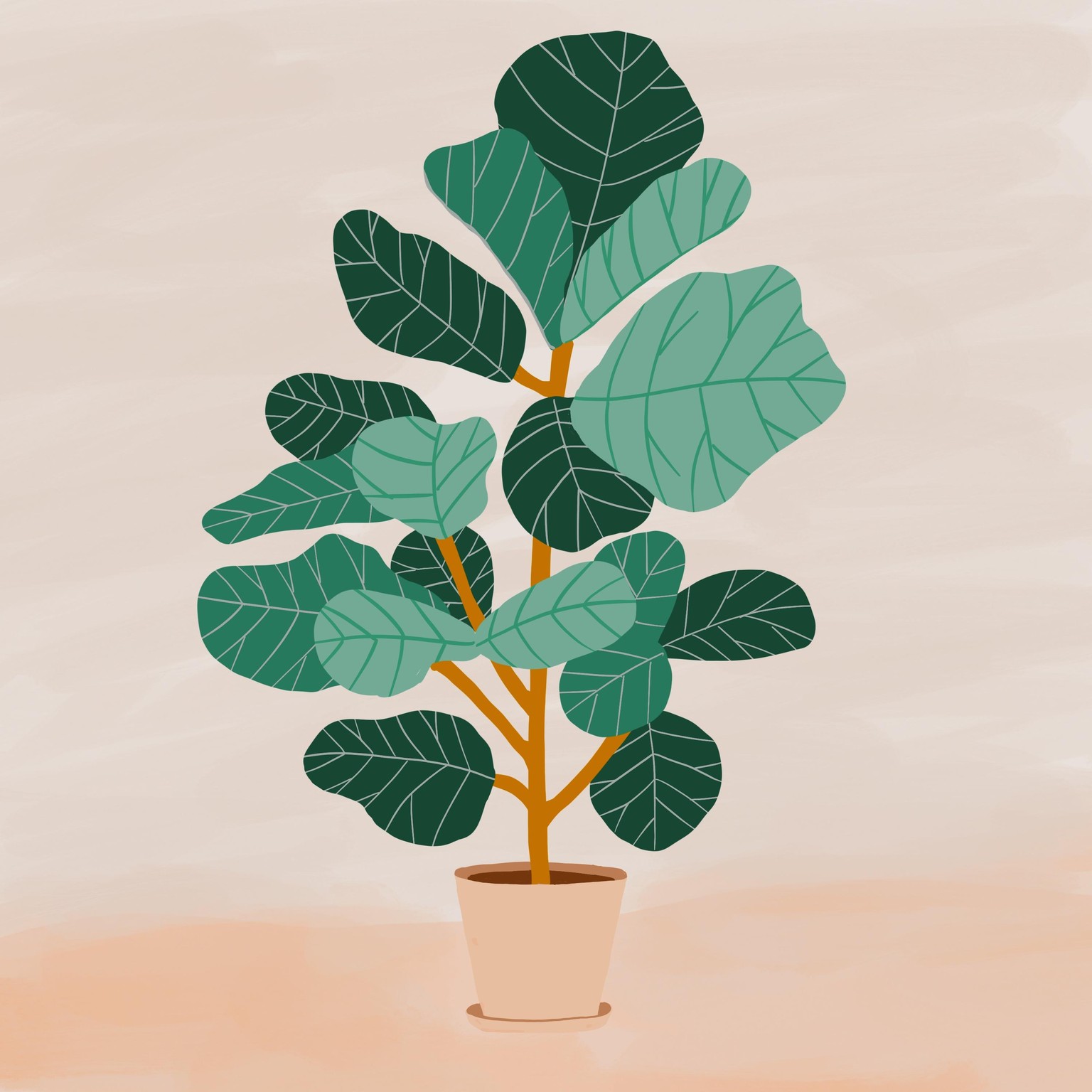 Plants - image 2 - student project