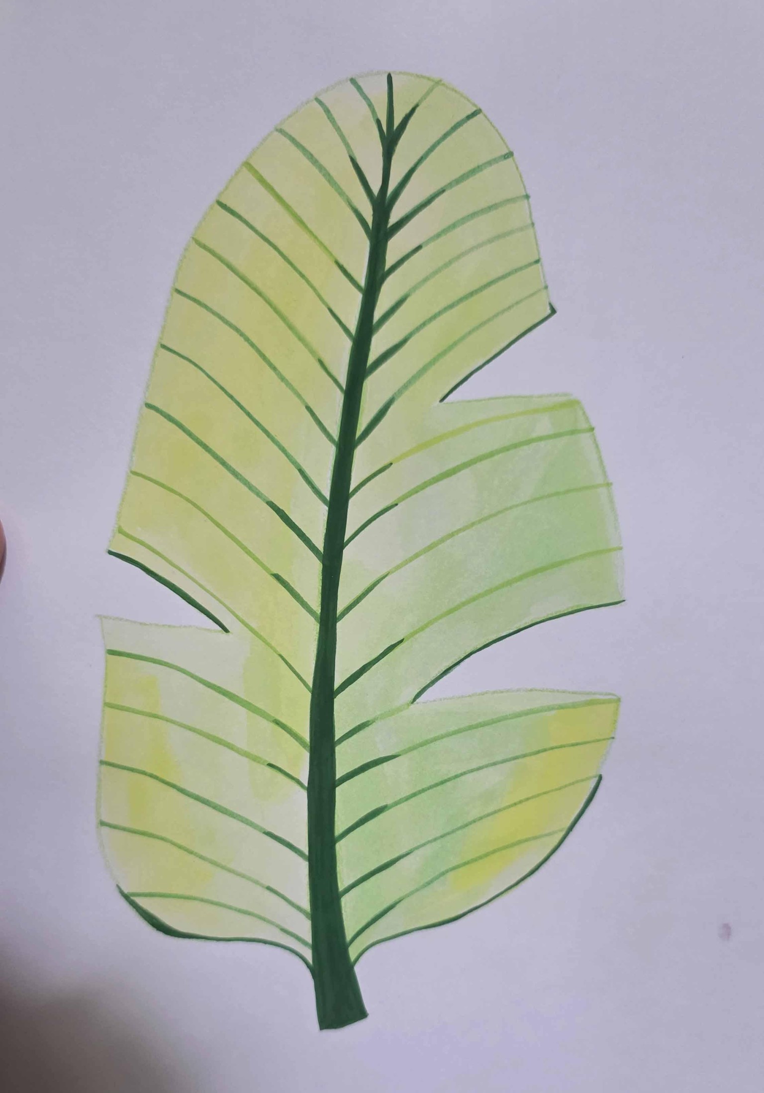 Gouache Tropical Leaves - image 2 - student project