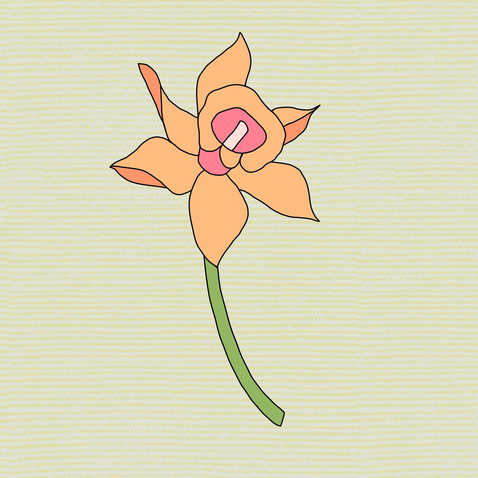 Botanical Illustrations - image 3 - student project