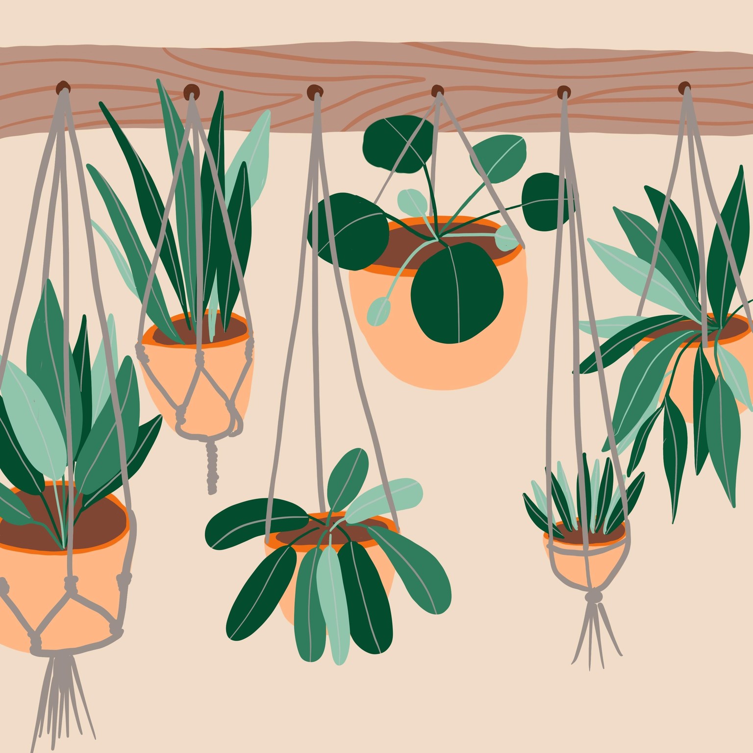 Plants - image 1 - student project