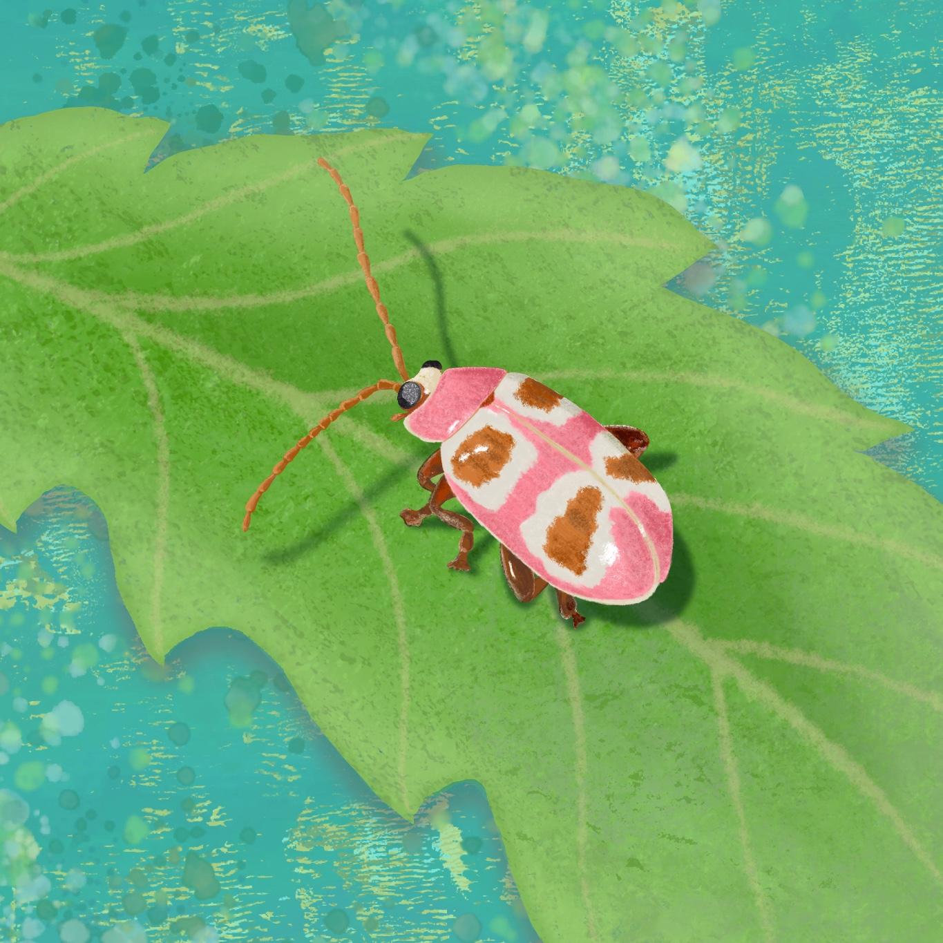 Pink Bug - image 1 - student project